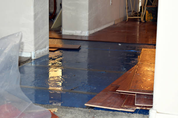Professional Flood Cleanup technician working in New Hampton, NH